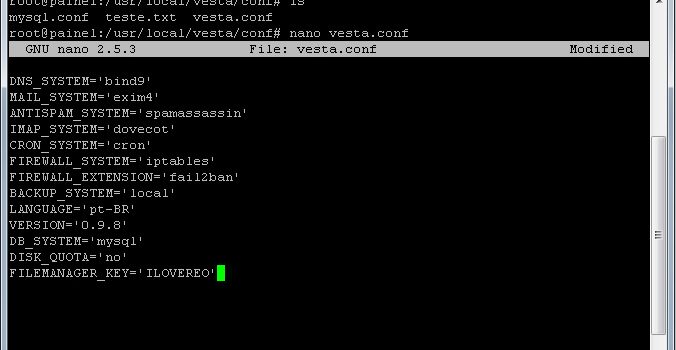 Como ativar o Gerenciador de Arquivos no VestaCP grátis